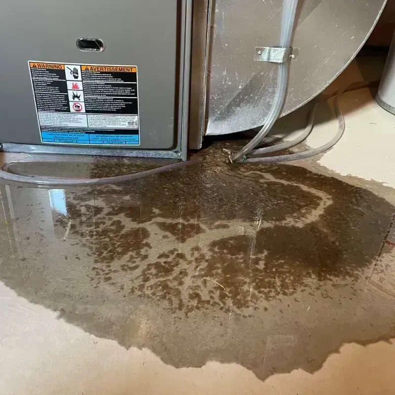 Appliance Leak Cleanup in Carbon Cliff, IL